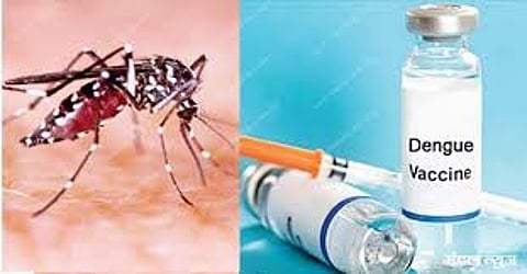 2026 के मध्य तक बाजार में आ सकती है देसी डेंगू वैक्सीन