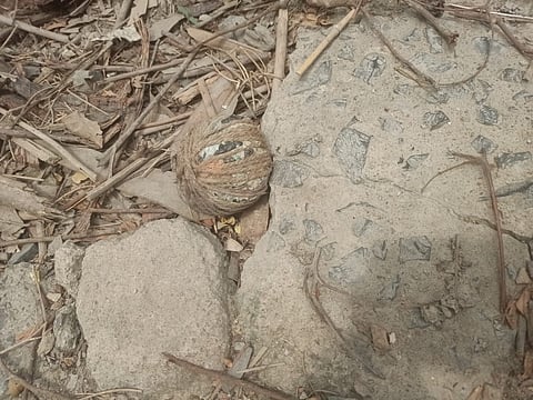 बरामद बम