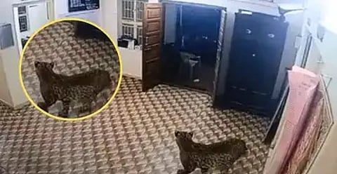 तमिलनाडु के थाने में पहुंचा तेंदुआ