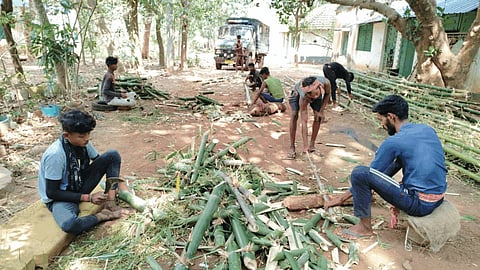 मिदनापुर में हाथियों की खातिर बांस का जंगल बनाने की हो रही तैयारी