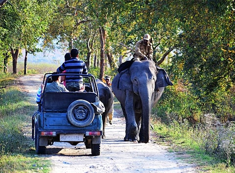 काजीरंगा अभयारण्य में 19 से बंद होगी जीप सफारी