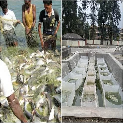 यूटी योजना के तहत सब्सिडी वाली मछली पकड़ने वाली नौकाओं के लिए आवेदन आमंत्रित