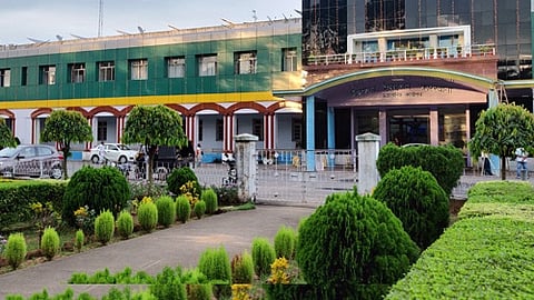 चिरेका का फोटो