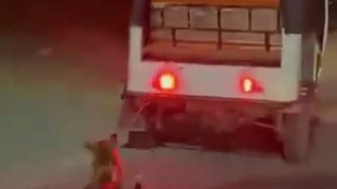 क्रूरता