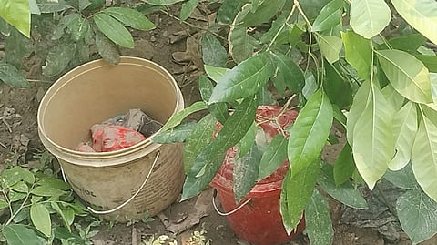 बम से भरी दो बाल्टी