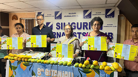 मैंगो फेस्टिवल अगले महीने