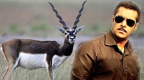 काला हिरण मामला