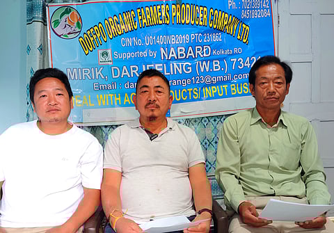 मंदारिन संतरे की खेती के बारे में किसानों को किया जाएगा जागरूक