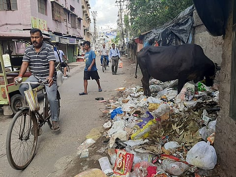 उत्तरपाड़ा शहर में कचरों की तस्वीर