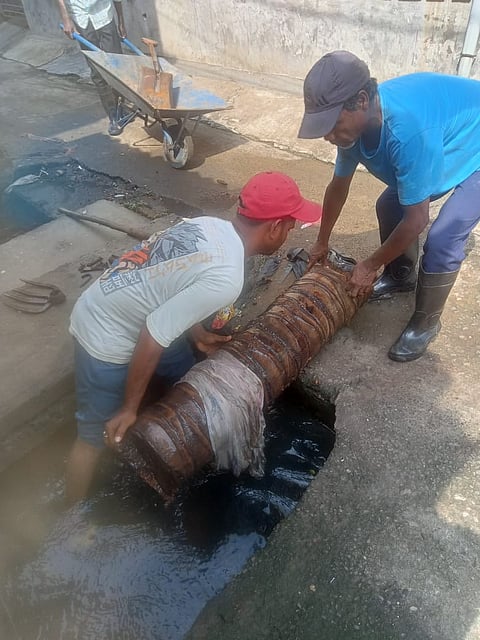 वार्ड 80 में चलाया गया सफाई अभियान