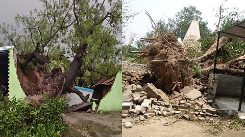 कुदरत का कहर