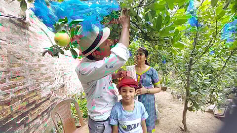 सेव के पेड़ों की देखभाल करते रूपेश दास