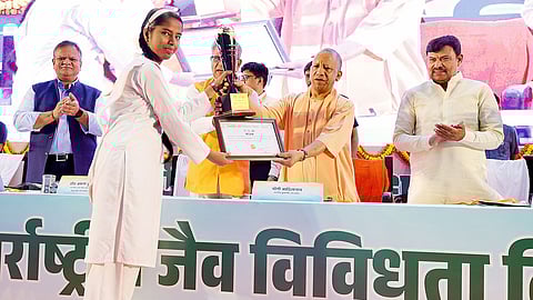 अंतरराष्ट्रीय जैव विविधता दिवस