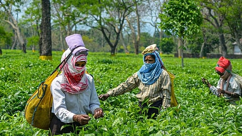चालसा चाय बागान के युवक ने फिटनेस प्रतियोगिता में रजत और कांस्य पदक जीता