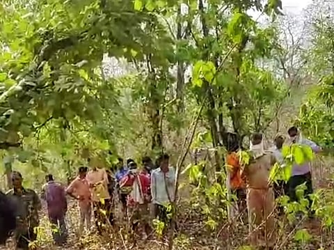 पंचावती जंगल में मिला संदिग्ध हालात में हड्डियों का ढांचा