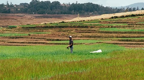 विकसित कृषि संकल्प अभियान की तैयारी बैठक आयोजित