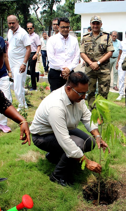 पोर्ट की ओर से किया गया वृक्षारोपण