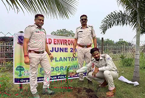 पौधा लगाना बहुत जरूरी है और उससे भी जरूरी पौधे की संरक्षण : तन्मय रॉय