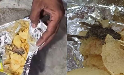 चिप्स के पैकेट की आड़ में भैंसों की तस्करी को पुलिस ने किया नाकाम