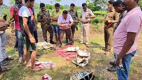 33 किलाे के 3 कछुए बरामद, 2 गिरफ्तार