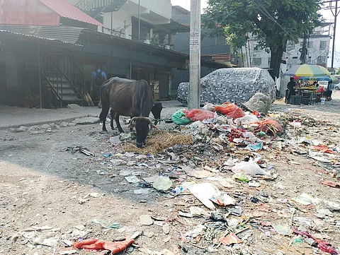 भारत-भूटान सीमांचल का सुंदर शहर कचरे के ढेर में तब्दील, स्थानीय नागरिक परेशान