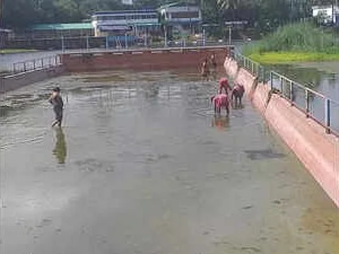 रवींद्र सरोवर का सार्वजनिक स्विमिंग पूल एक हफ्ते के लिए बंद