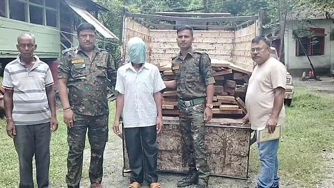 तस्करी से पहले शाल की लकड़ियां जब्त, 1 गिरफ्तार