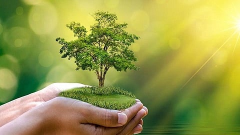 पौधारोपण अभियान