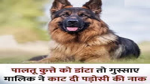 यूपी पुलिस ने दी यह जानकारी