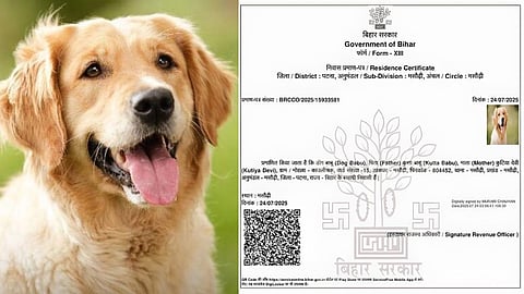 कुत्ते के नाम पर जारी हुआ आवासीय प्रमाण पत्र