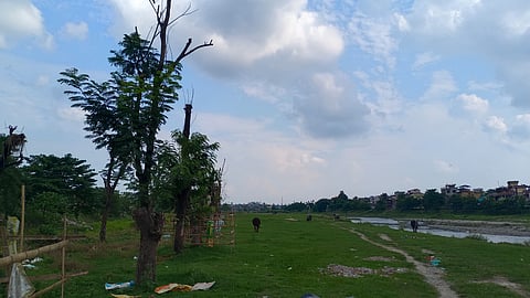 Forests, bushes and heaps of garbage on the banks of the Mahananda River