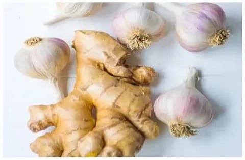 राज्य सरकार की पहल पर जिले के स्कूलों में अदरक-लहसुन की खेती शुरू