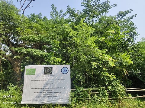 कोलकाता को हरा-भरा करने की कोशिश : 10 लाख पौधे लगाने का है लक्ष्य