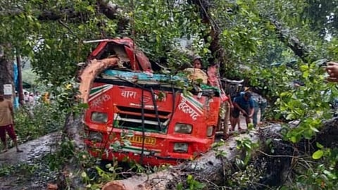 तेज बारिश में रोडवेज बस पर अचानक एक गूलर का पेड़ गिरा