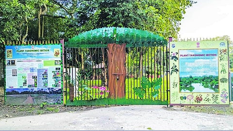 Bootanical Garden, Plant Texonomic Section'