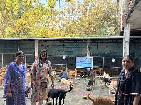 Members of Rotary Believers with dogs at Dog Century
