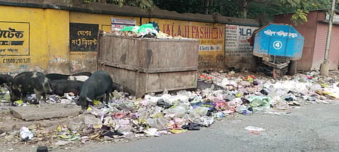 कचरे के अंबार से सफाई पर उठा सवाल