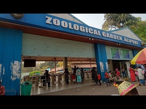 अलीपुर जू में 15 दिसंबर से खुलेंगे इतने टिकट काउंटर