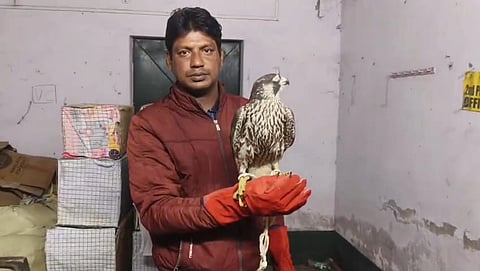 पुलिस ने किया बाज की तस्करी का भंडाफोड़