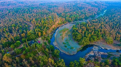 मेलघाट अभयारण्य में छोड़े जाएंगे 15 गिद्ध