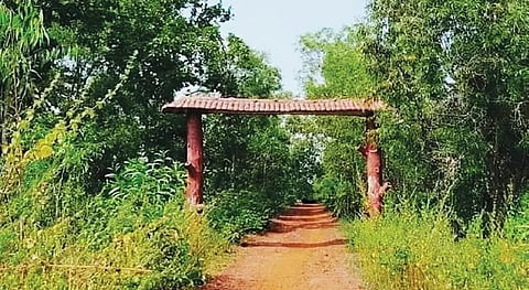 संकराईल स्थित ईको पार्क की हालत बयां करती तस्वीर