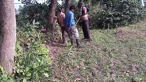 बिजली विभाग के कर्मियों को पेड़ से बांधकर पीटा