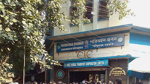 The transport department will take to the cricket field with a road safety message.