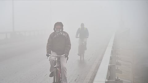 ठंड और कोहरे से राजस्थान का हाल बेहाल, जानें कहां कितना गिरा तापमान?