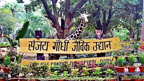पटना चिड़ियाघर के नाम से मशहूर संजय गांधी जैविक उद्यान