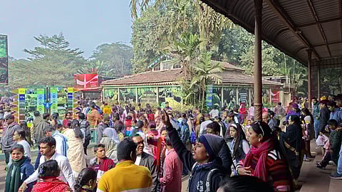 अलीपुर जू में इस बार अपेक्षा से कम रही दर्शकों की संख्या