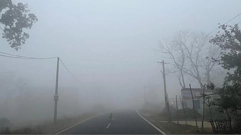 झारखंड: 15 जिलों में घने कोहरे के लिए 'येलो' अलर्ट जारी