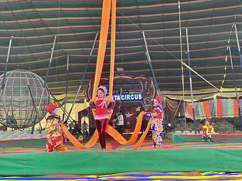 Park Circus ground is once again bustling with activity thanks to the circus, and crowds are gathering.