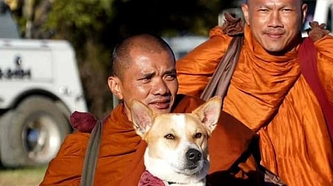 महाभारत की याद दिलाती कोलकाता का 'शांति सारमेय' आलोका