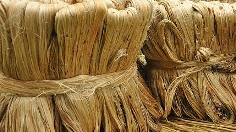 सांकेतिक तस्वीर